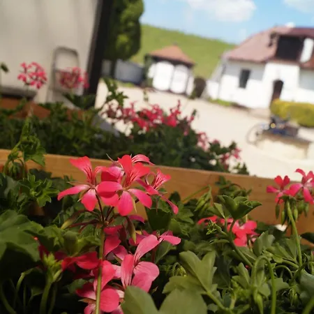 A Talsky Mlyn ホテル Žďár nad Sázavou