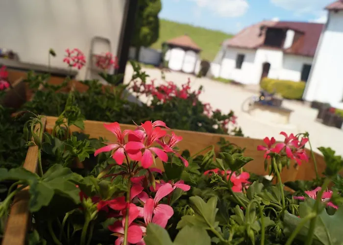 A Talsky Mlyn ホテル Žďár nad Sázavou